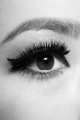 ビューティーイメージ