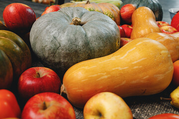 Pumpkins and red apples on wooden background