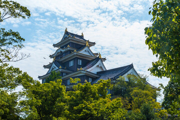 Fototapeta premium 岡山城