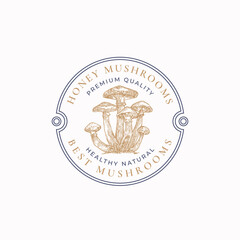 Mushrooms Abstract Frame Sign, Symbol or Logo Template. Hand Drawn Colorful Honey Mushrooms Group with Typography and Border Badge. Edible Plant Vector Emblem Concept. Isolated