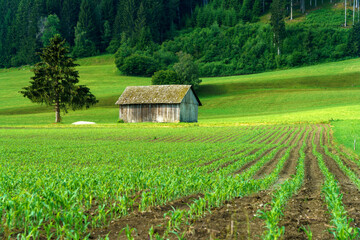 Cycleway of Pusteria valley at summer