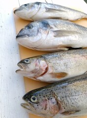 Fische vor Zubereitung