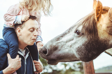 muzzle of a horse in the stable yard