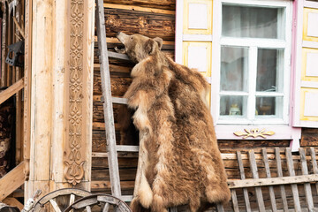 Stuffed bear head with open mouth.