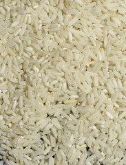 Rice closeup photos.White rice.