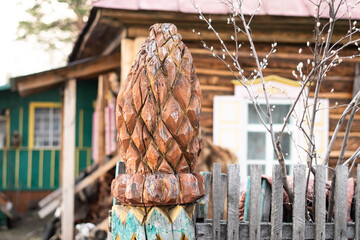 house in the village of Russia