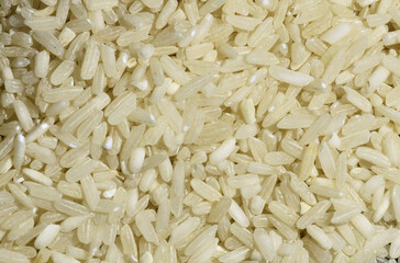 Rice closeup photos.White rice.