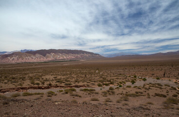 Desert landscape. View of the arid land, valley, colorful mountains and vegetation in Los Cardones National Park, in Salta, Argentina. 

