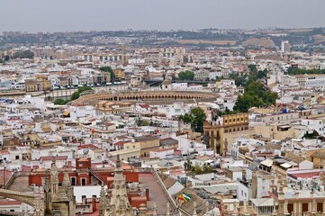 Fototapeta na wymiar Vista panorâmica da cidade de Sevilha com a praça de touros / Espanha