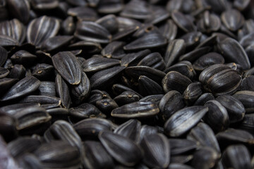 Black sunflower seeds, square organic background