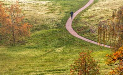 Single figure in park landscape