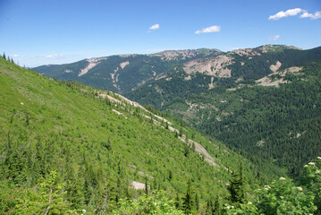 Fototapeta na wymiar National Forests. St. Joe National Forest, Idaho. View from St. Joe Baldy Mountain.
