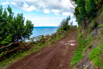 Azores, Island of Sao Jorge, walkway to the natural reserve of Faja da  Santo Cristo. 