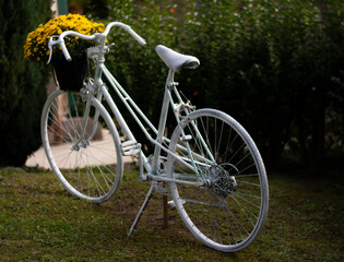 Fototapeta na wymiar White retro vintage bicycle with yellow flowers isolated. Natural green background. Garden decoration. Selective focus.