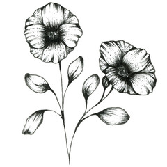 Graphic outline illustration of flowers. For design.