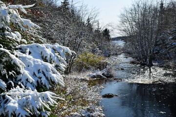 Naklejka na ściany i meble Winter stream with snow covered branches