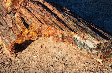 Colorful Petrified Log at Petrified Forest National Park