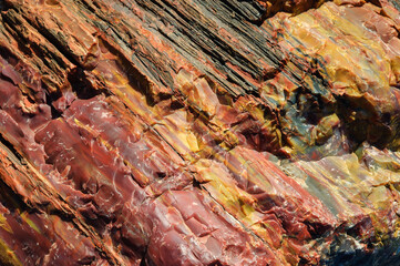Obraz premium Colorful Petrified Log at Petrified Forest National Park