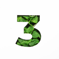 Number three made of green mint natural leafs and paper cut in shape of third numeral isolated on...