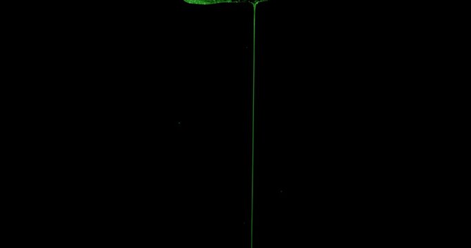 Green Slime Dripping In Black Background 