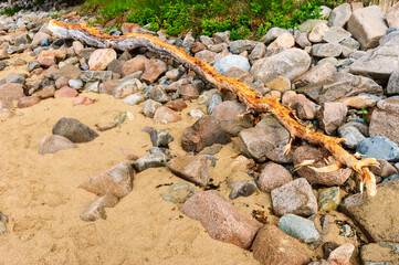 Acadia National Park