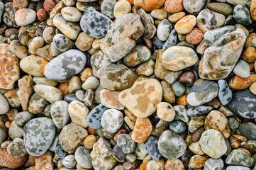 Acadia National Park