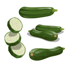 Zucchini set. Whole vegetable, cut, single and group. Flying slices. Farm fresh veggies. Vector illustrations isolated on white background.