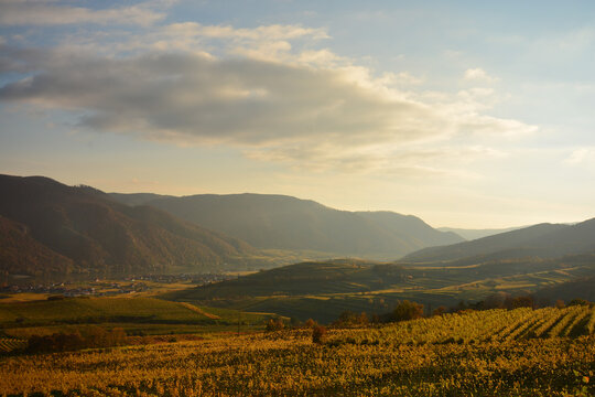 lanscape wachau austria in authum with colorful leafes
