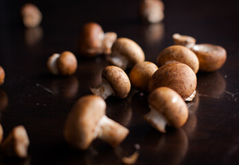 Wild mushrooms on black background
