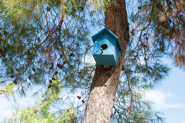 Small wooden blue squirrel house on a pine tree.
