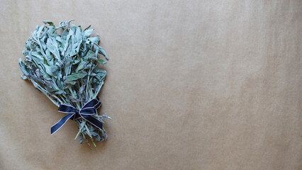 Sage bunch on the empty background