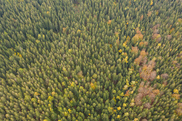 Fototapeta na wymiar Aerial drone photography of the Karkonosze mountains in Poland during the autumn season. 