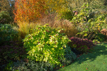 Garden borders with grasses, sedum and assorted shrubs covering the ground