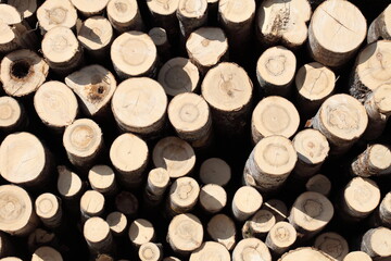 Dry felled logs stacked on top of each other. Firewood is on the heap.  Wooden logs of different sizes are prepared for the winter.