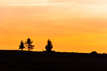 Golden and magic colored sunset silhouettes, beautiful nature sunset