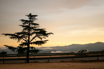 Dramatic cloud with mountain and road car traffic with sunset background shot in Sardegna, Italy. Silhouette of a tree.
