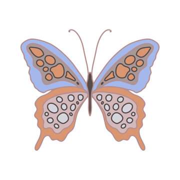 Vector illustration with a butterfly for the design of prints, birthday greetings, design of cards with March 8 and Valentine s Day. Delicate beautiful butterfly with wings coloring in color insect