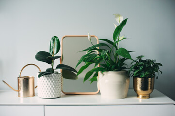 trendy modern scandinavian interior in white and grey tones decorated with houseplants and candles. Simply living and hygge concept © mashiki