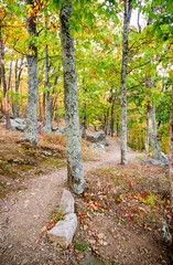 Fototapeta premium Shenandoah National Park