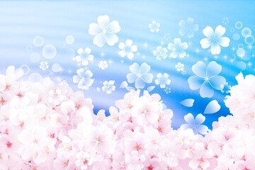 Fototapeta na wymiar 桜の花と水の波紋