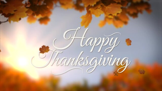 Celebrate the holidays with this new 
looping motion background and share the warmth of Thanksgiving with friends and family! Download today at 4K quality at 60 frames per second.