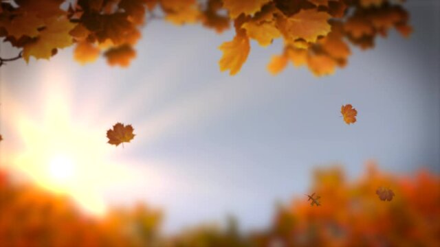 Start to bundle up and get ready for the changing weather with this new looping autumn motion background. With a warm sun and falling leaves, download today at 4K quality at 60 frames per second!