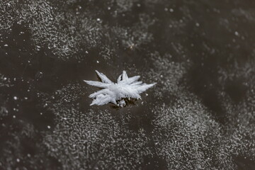 Snow crystals on the ice of the river in winter closeup