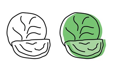 Natural vegetables from the garden. eco products. vector cabbage icons in flat style.