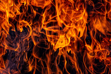 Fire flames. Flames and smoke on a dark background.