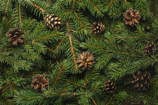 Christmas tree branches and cones. Christmas, New Year. Wallpaper. Banner. Flat lay, top view
