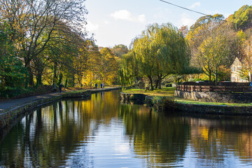 Fototapeta premium autumn along the canal