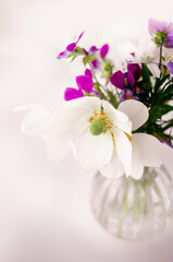 Naklejka na ściany i meble bouquet of small white wild onion flowers and purple pansies in a vase. selective focus