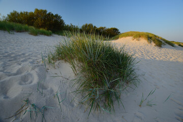 Dune on the beach, Ustka, Poland, Baltic sea.