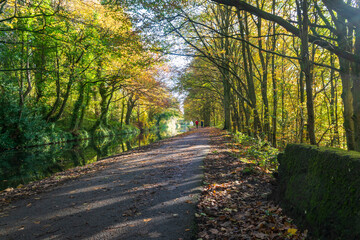 Autumn along the canal